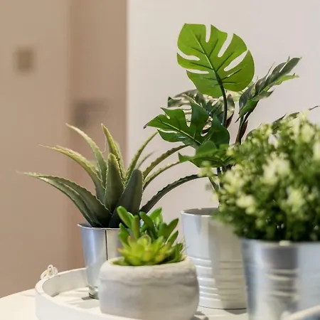 בית הארחה Blossom House Venice